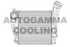 AUTOGAMMA 105067 Intercooler, charger